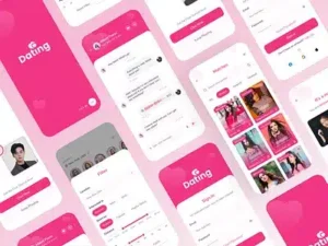 Matrimonial Software Development in Chennai